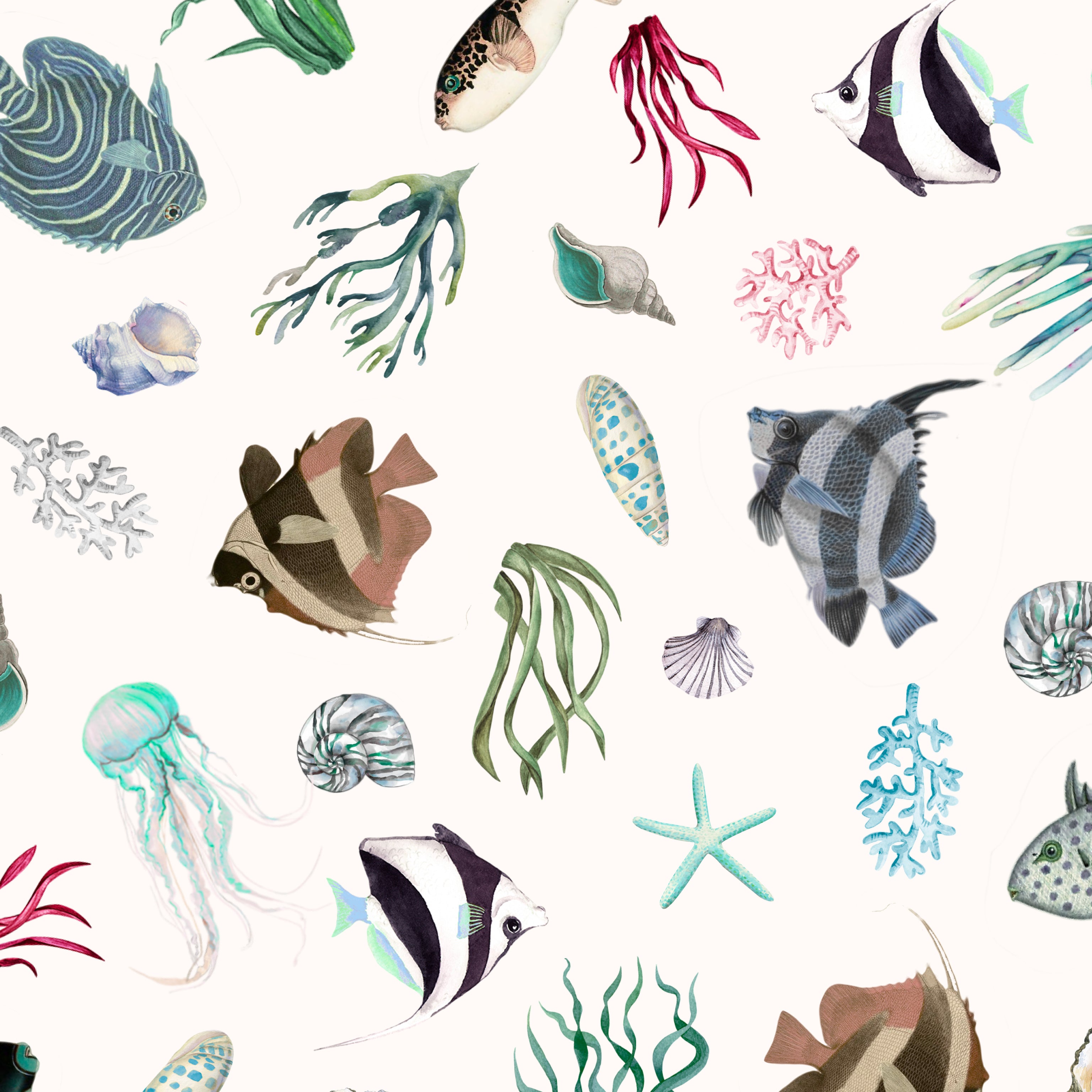 Marine Collection