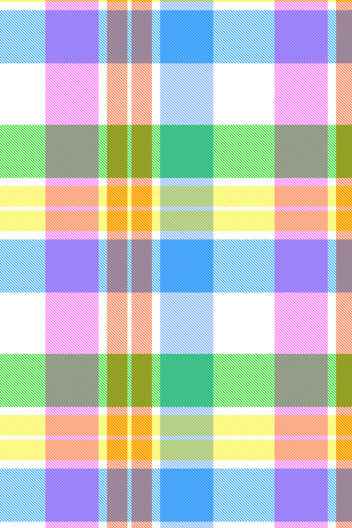 Carnival Check Short