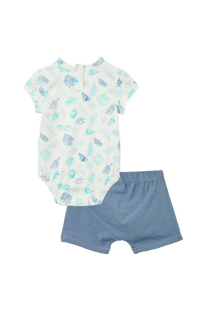 Seashells Baby Set