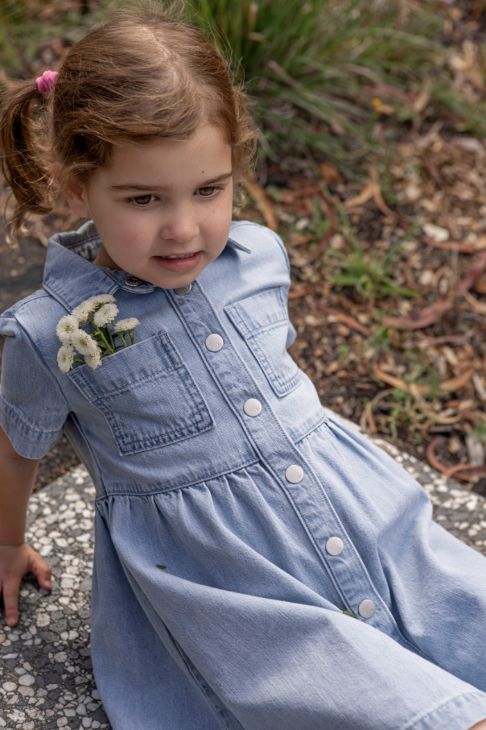 Mabel Denim Dress
