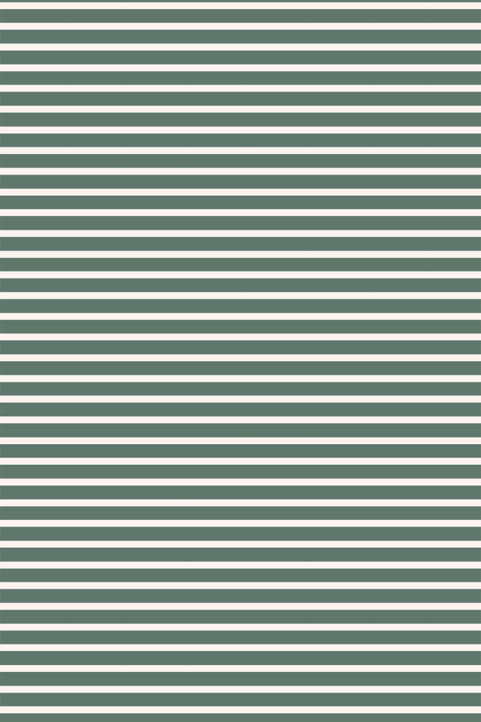 Fern Stripe Henley