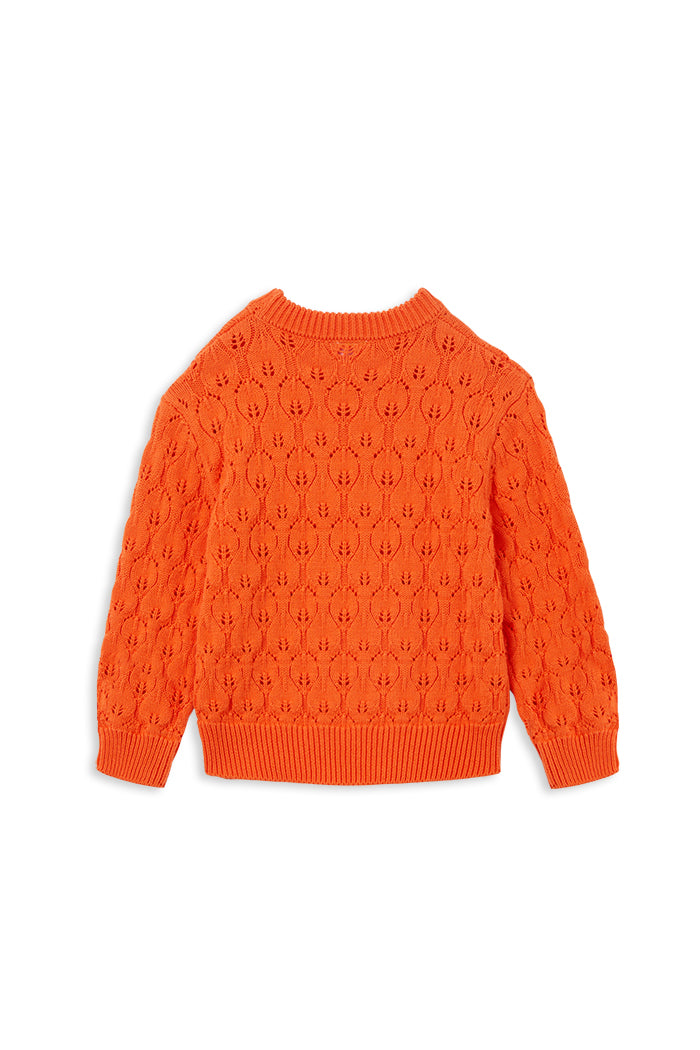 Tangello Knit Jumper