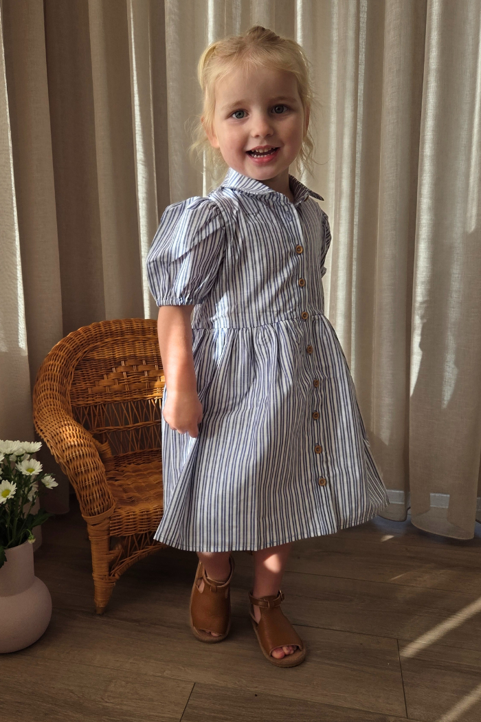 Marine Stripe Dress