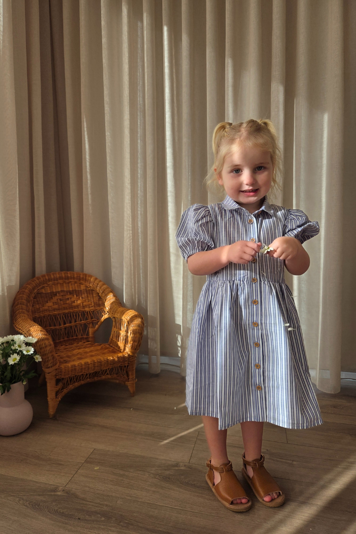 Marine Stripe Dress