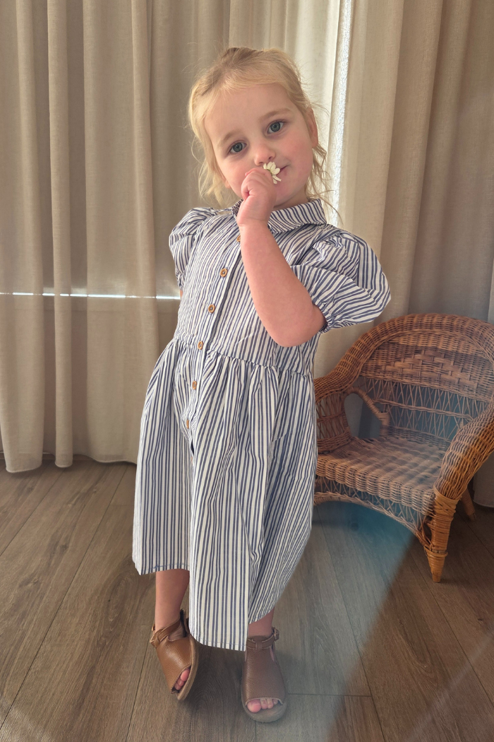 Marine Stripe Dress