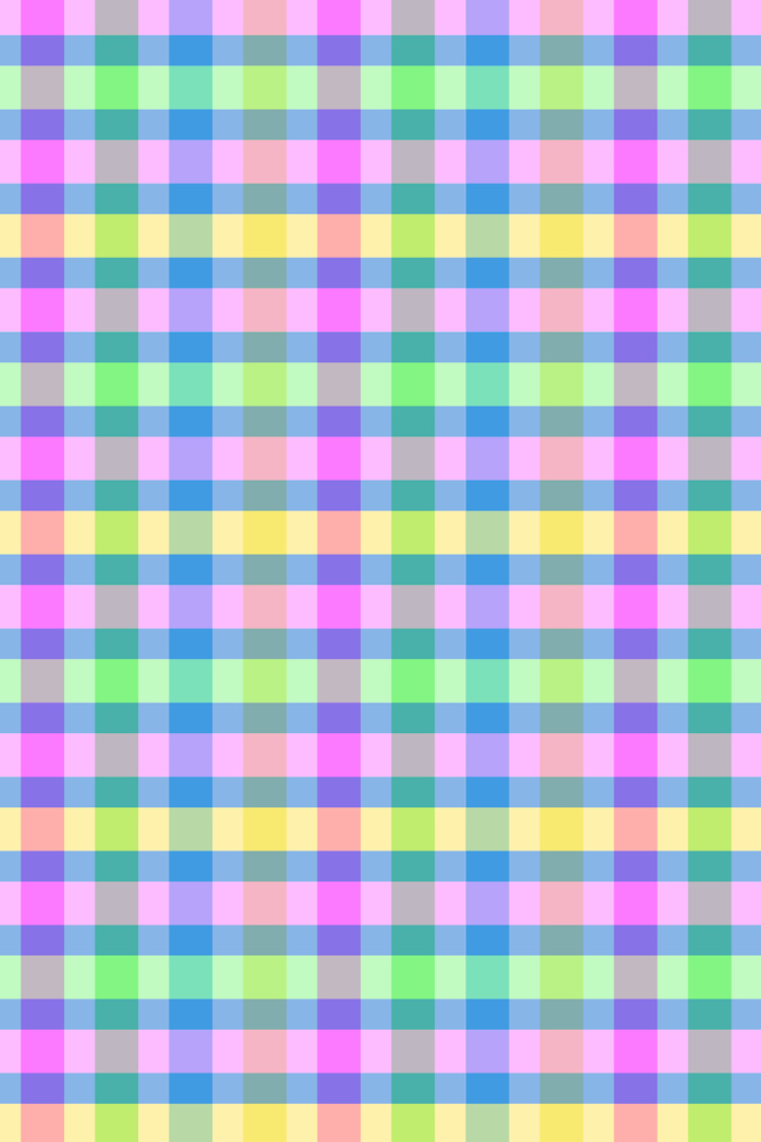 Picnic Check Rash Vest