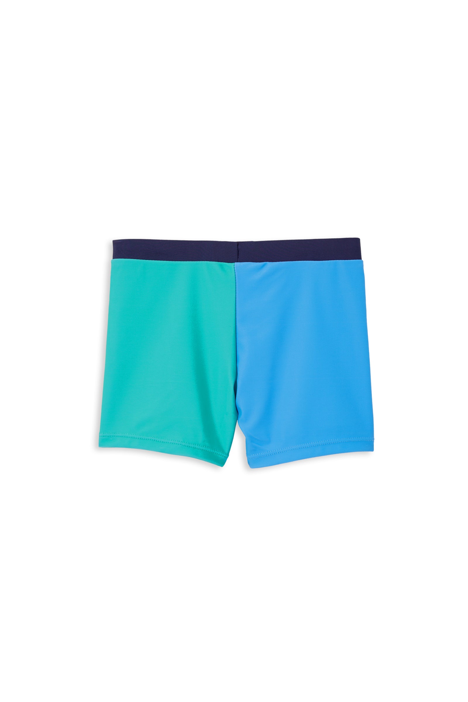 Green Panel Swim Short