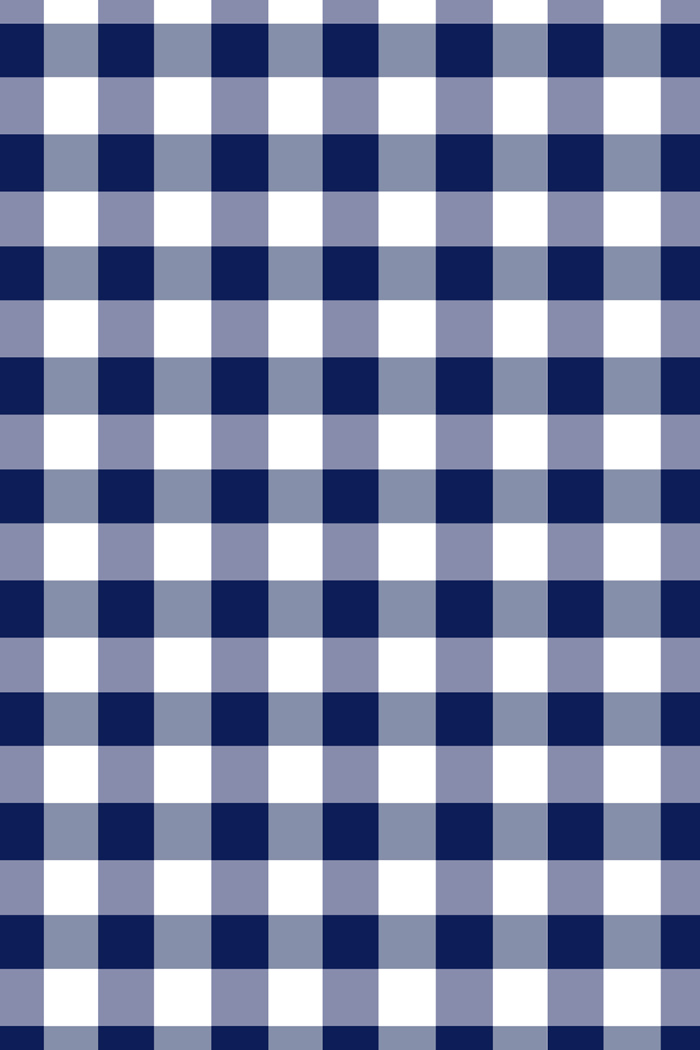 Gingham Dress