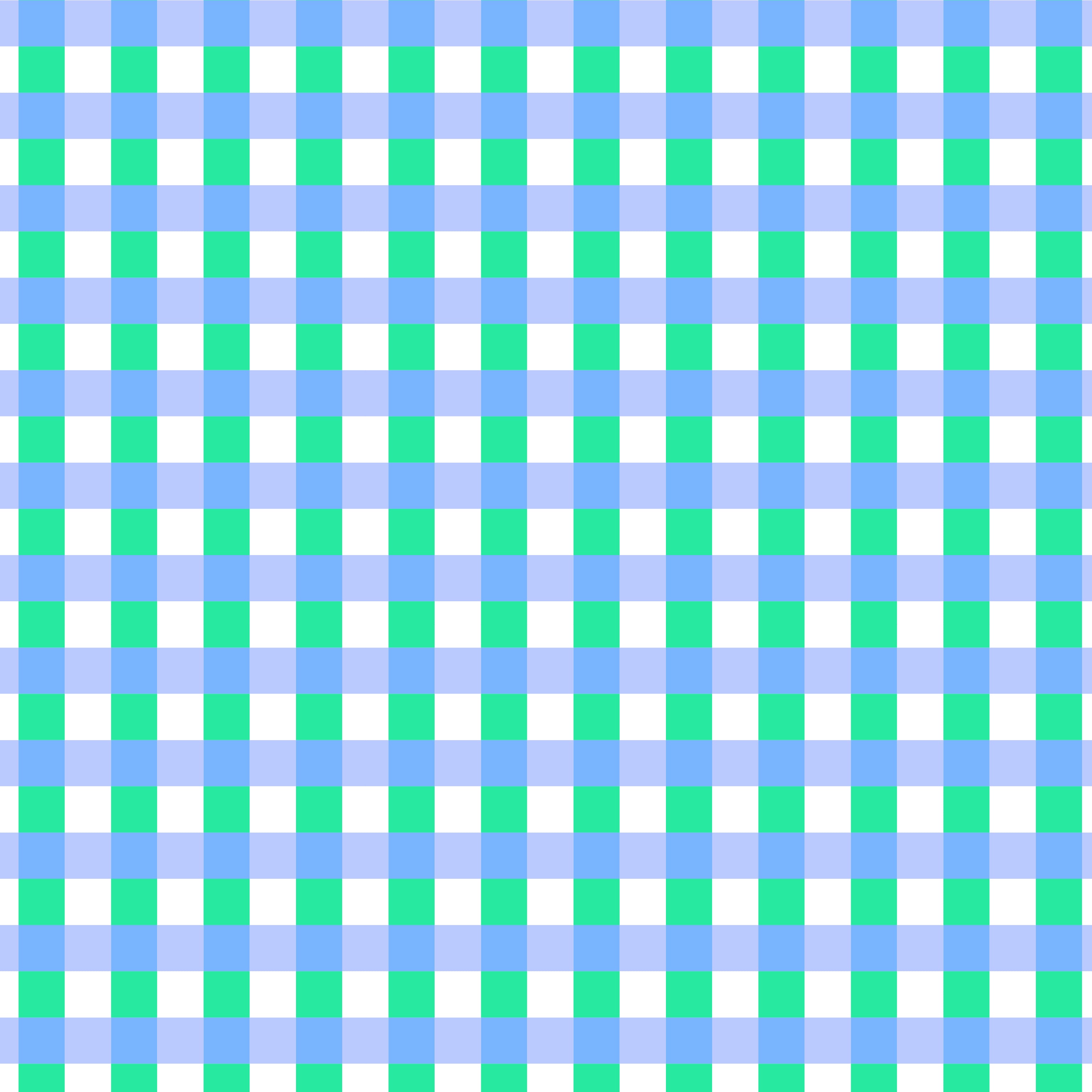 Blue Gingham Rash Vest