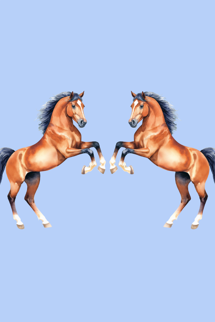 Dancing Ponies Sweat - Blue
