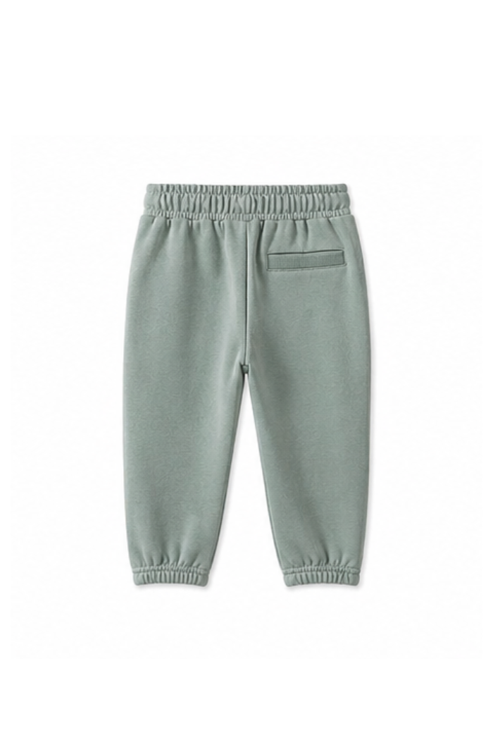Easy Track Pant Baby - Fern