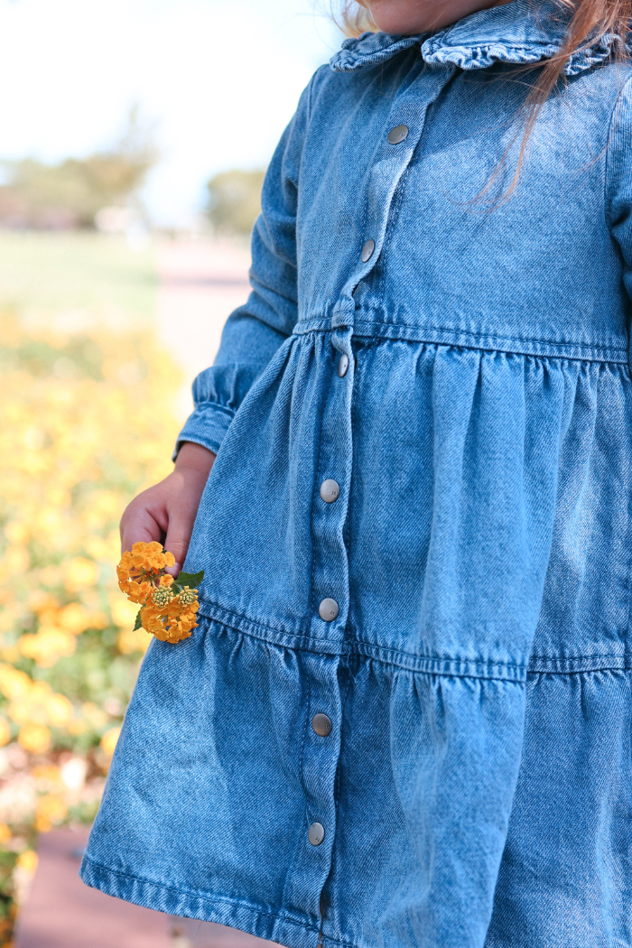 Denim Tiered Collared Dress