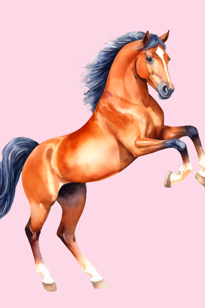 Lucky Pony Tee