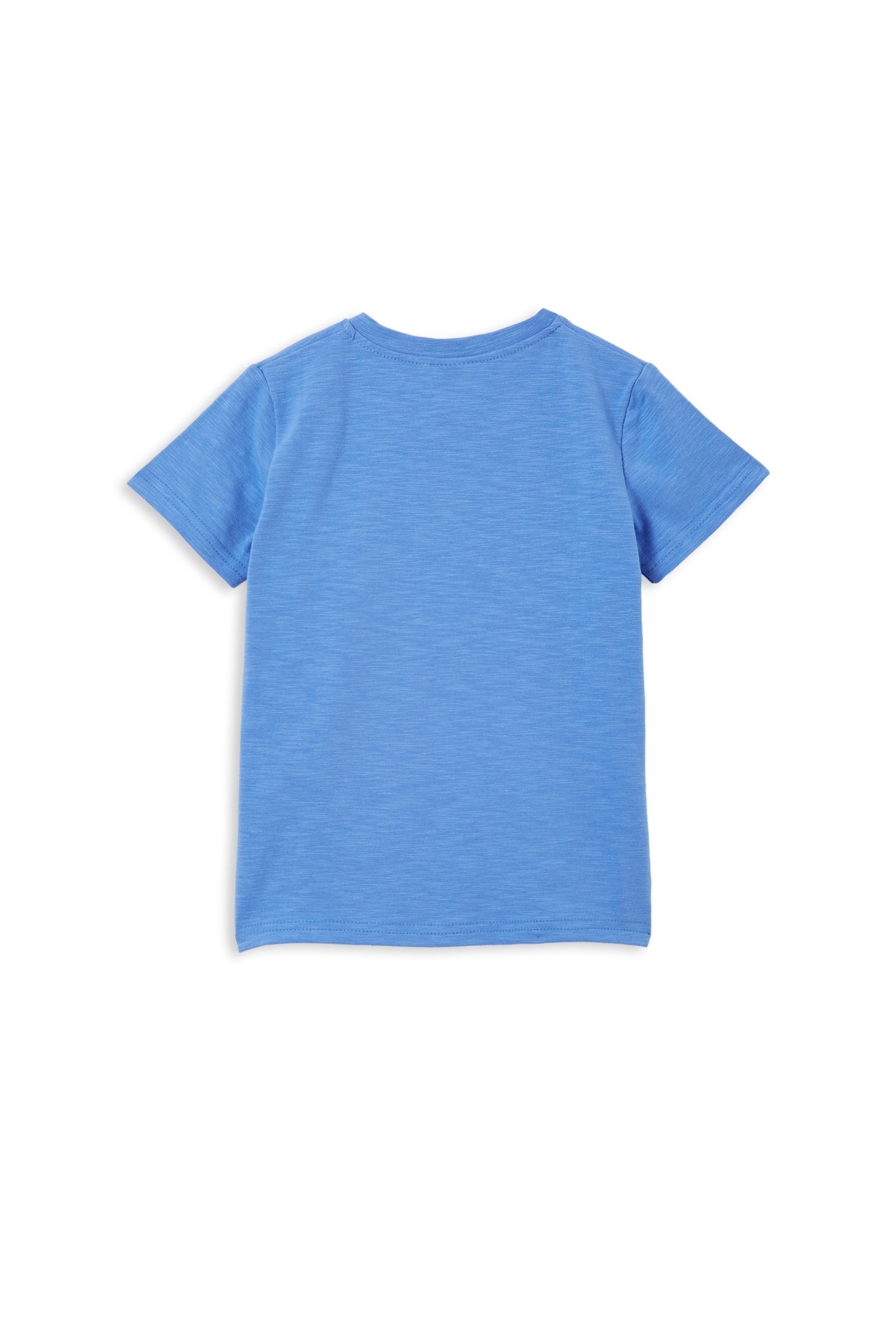 Sky Blue Henley