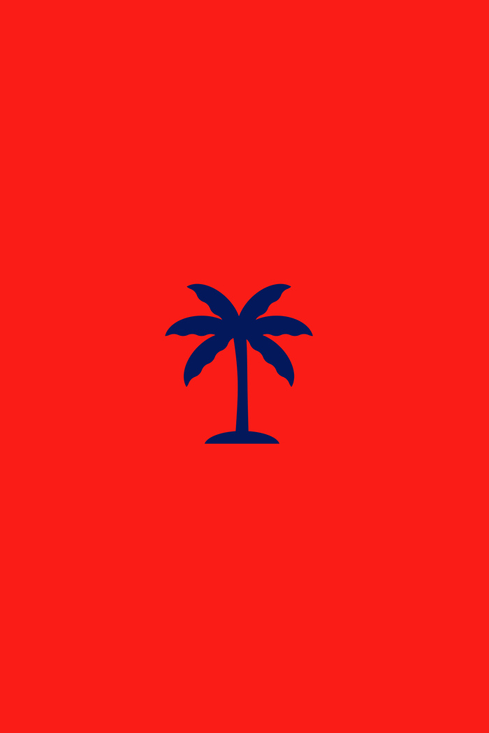 Red Swim Short