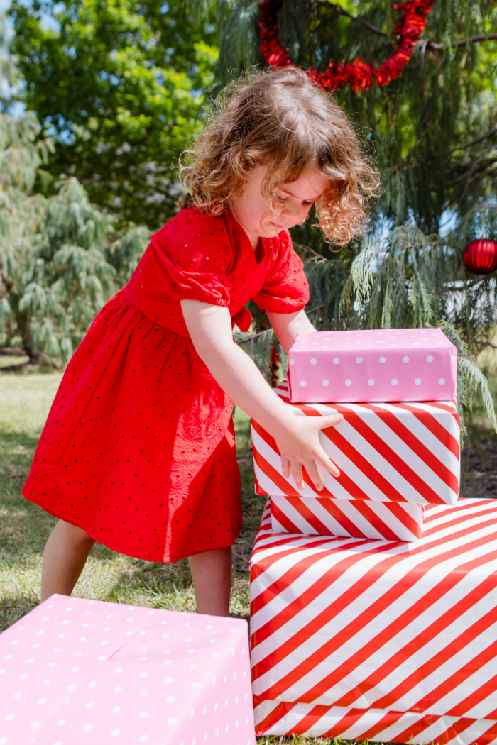 Red Broderie Dress