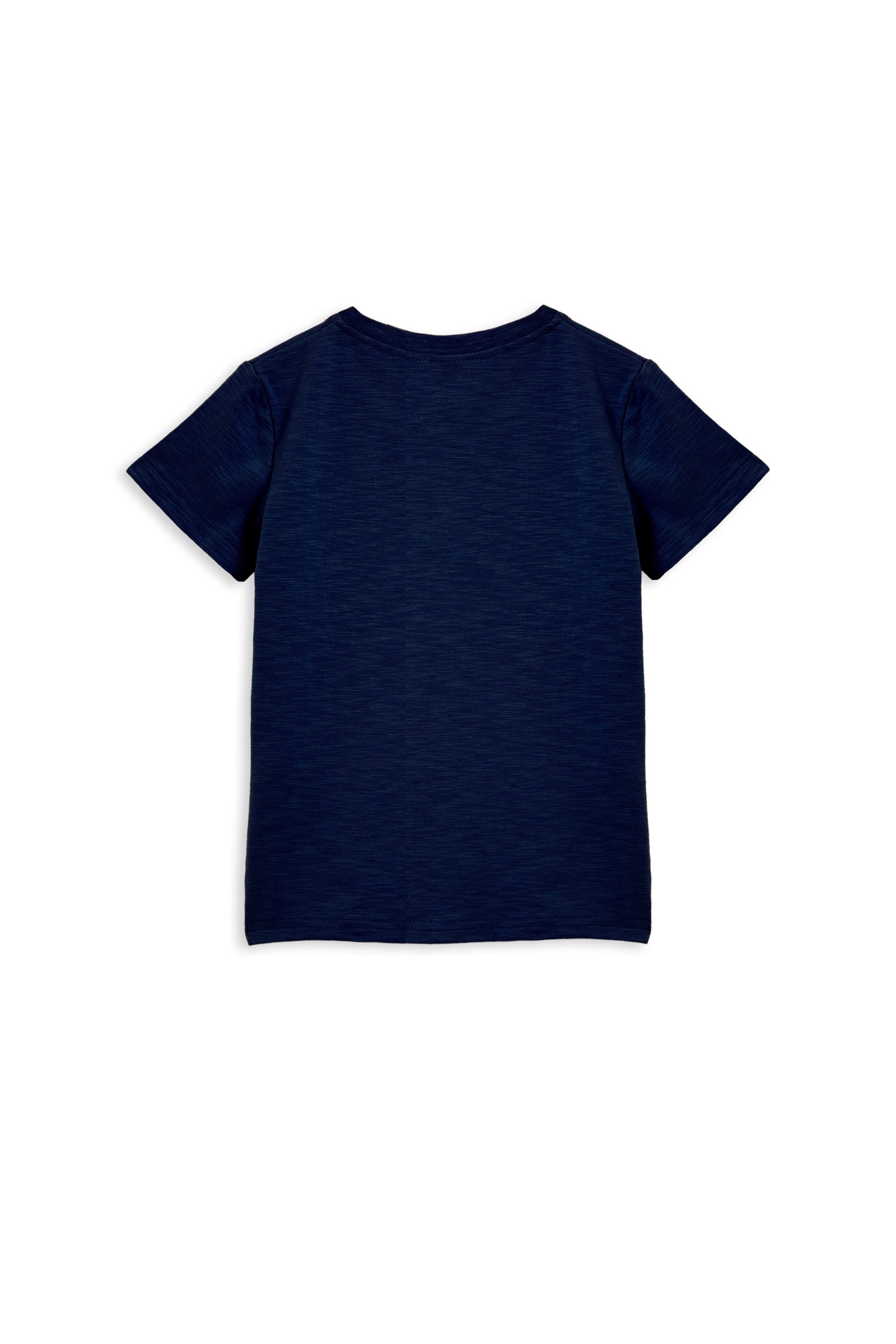 True Navy Henley