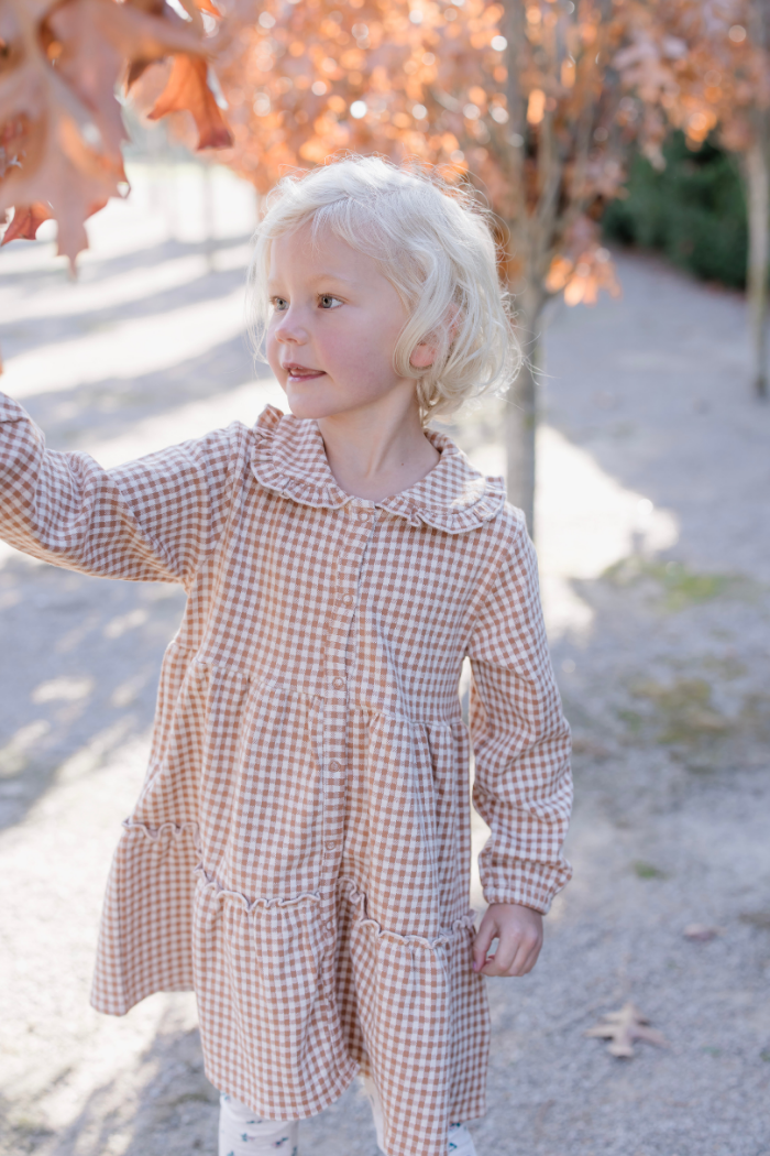 Check Tiered Collared Dress