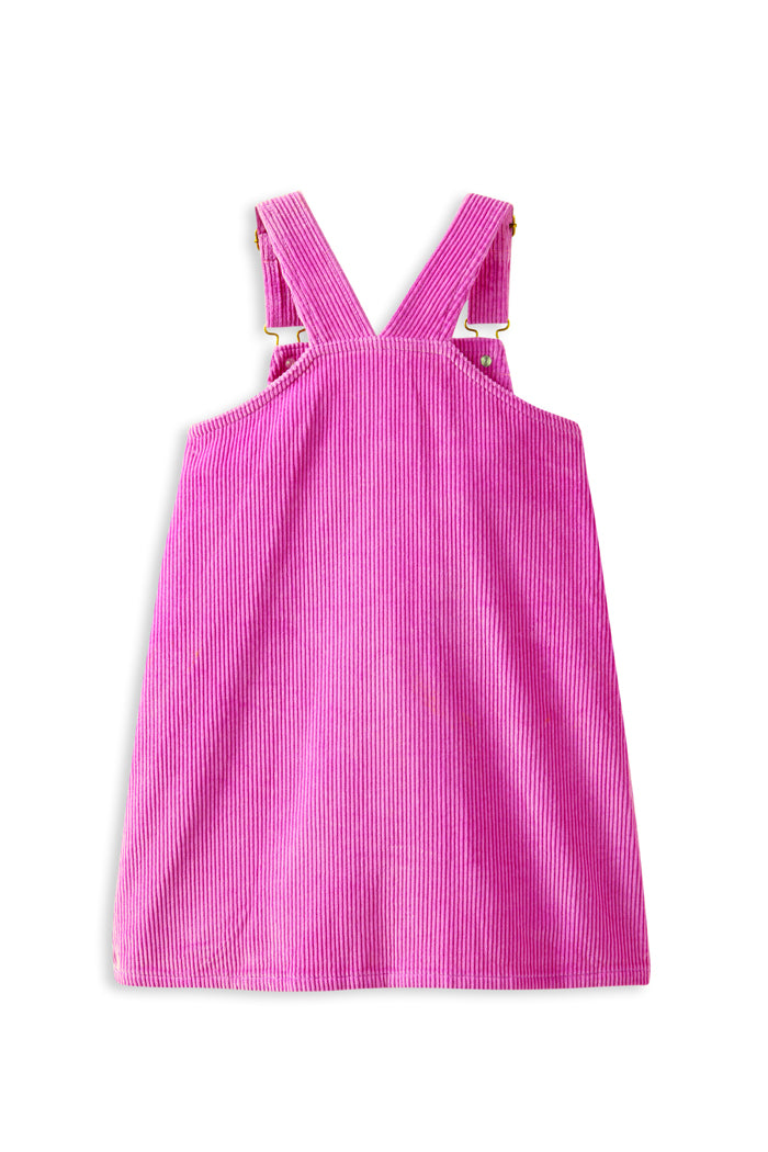 Pinny Pop Dress