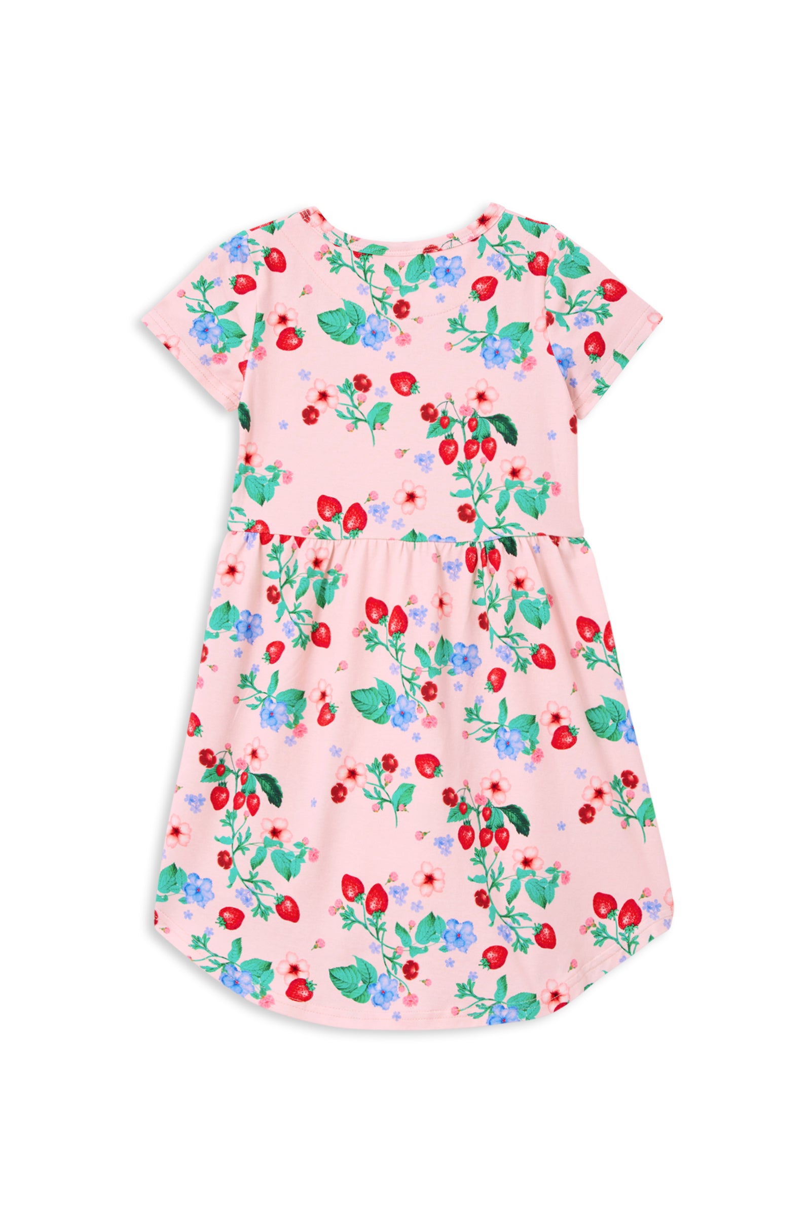 Very Berry Hi- Lo Dress