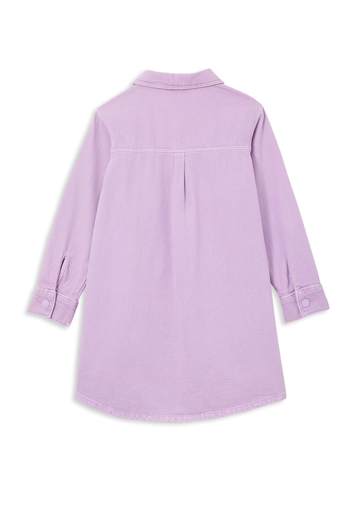 Lavender Denim Dress