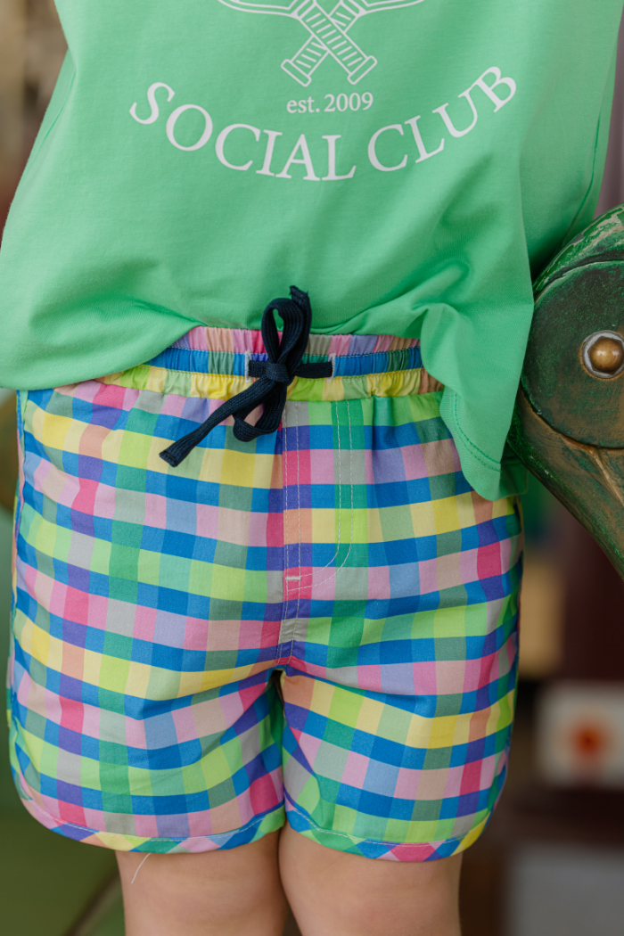 Picnic Check Boardshort
