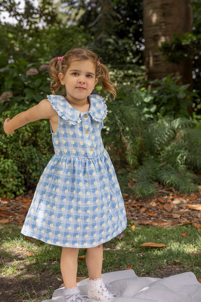 Daisy Check Dress