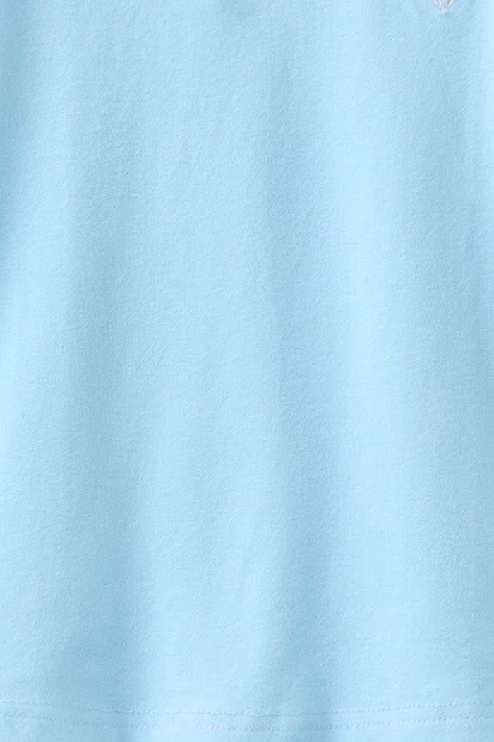 Blue Lion Polo Shirt