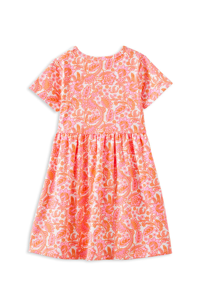 Wild Paisley Dress